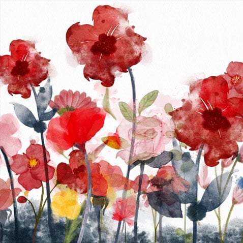 Poster Shop - Wildflowers - Shop Floral and Botanical Posters