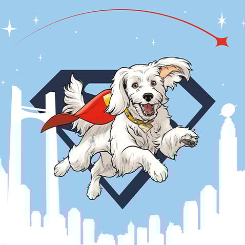 Poster Shop - Superman Krypto - Shop Exclusive Posters