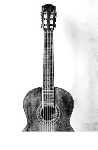 Shop Products - Black & White Guitar Poster Wall Art