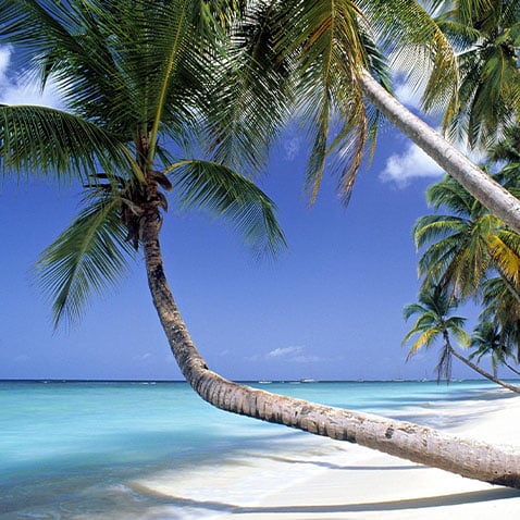 Poster Shop - Pigeon Point, Tobago - Shop Travel Posters and Art!