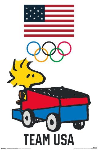 Shop Products - Team USA x Peanuts Poster Wall Art