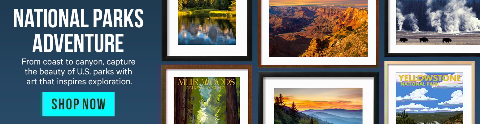 Variety of National Parks Posters - Shop National Park Posters