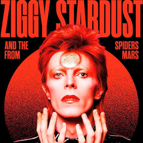 David Bowie Ziggy Stardust - Shop Exclusive Posters
