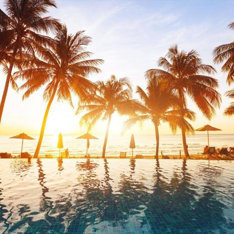 Poster Shop - Pool with Palm Trees - Shop Travel Posters and Art!