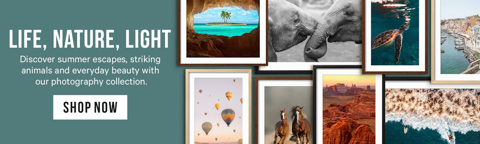 Hero Banner - Photography Favorites - Shop all Photography