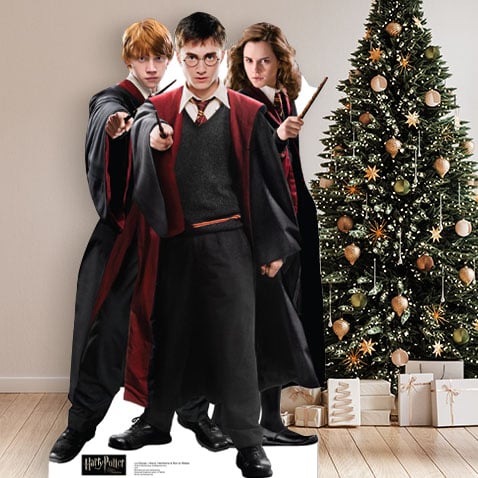 Spotlight - Harry Potter Cardboard Cutouts - Shop all